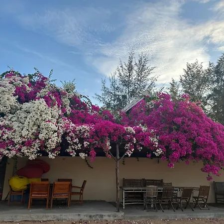 Orchid Boutique Beach Resort