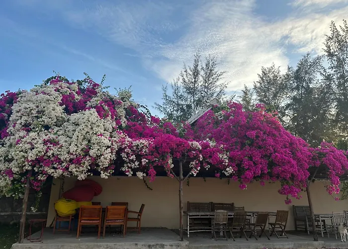 Orchid Boutique Phan Thiết