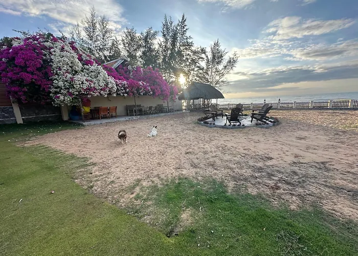 Orchid Boutique 3* Phan Thiết