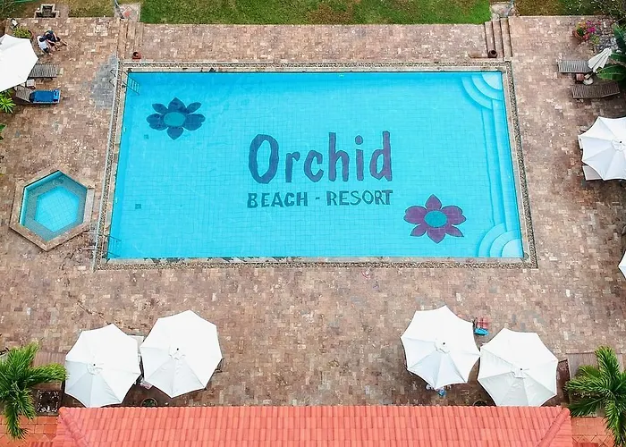 Orchid Boutique